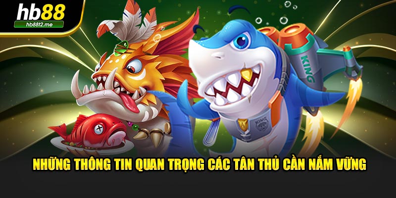 Những thông tin quan trọng các tân thủ cần nắm vững Những thông tin quan trọng các tân thủ cần nắm vững