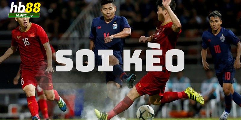 Tổng hợp các hình thức soi kèo HB88 Tổng hợp các hình thức soi kèo HB88